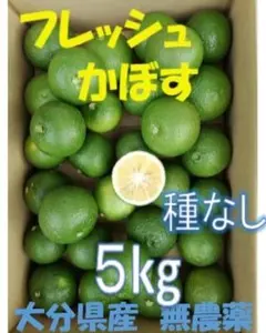 マグさまご予約専用 大分県名産 フレッシュかぼす 特注品