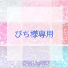 ぴち様専用ページ