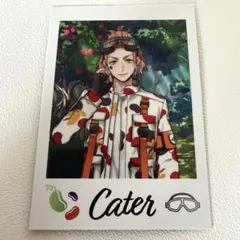 ツイステ展 ケイト ランダムカードコレクション イベント衣装