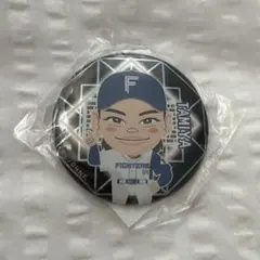 北海道日本ハムファイターズ 缶バッジ 達孝太 16 - メルカリ