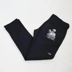 Dickies×hardcover スキニーストレート チノパン 40 B064