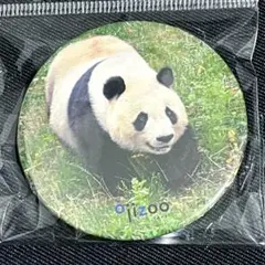 2026年最新】タンタン 缶バッジの人気アイテム - メルカリ