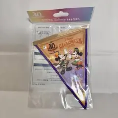 ディズニー　40周年　ガーランド　ハロウィン　②