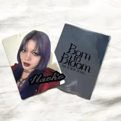 HANA ナオコ Born to Bloom ランダムフォトカード ステッカー