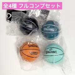 《전 4종》SPALDING 스폴딩 농구 컬렉션 2