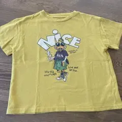 HH様 リクエスト 2点 まとめ商品