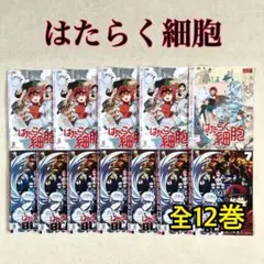 ケース付 はたらく細胞 DVD 1期+2期＋特別編+BLACK 全19巻セット