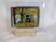 写真立て　縦横両用