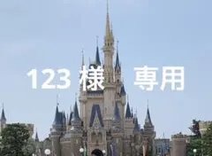 123 様　専用