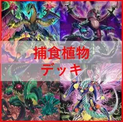 優勝構築 獄神デッキメディウス ヴィードリウム ネルヴァ 幻獄神