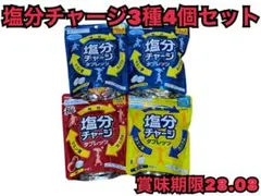 塩分チャージタブレッツ 4を3種類4個セット