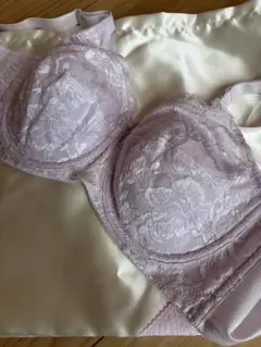 【新品•未使用】E90 シャンデール　ブラジャー　ピエゾメッシュ　ベル シャンデールベルピエゾメッシュブラジャーC90 シャンデール