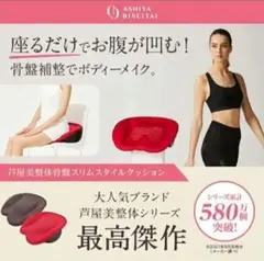 美品✨️芦屋美整体　骨盤矯正クッション　美姿勢機具　座椅子　バランスチェア　産後