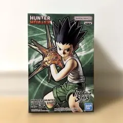 HUNTER×HUNTER VIBRATION STARS-ゴン-