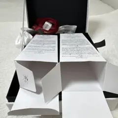 DECORTÉ 空箱　ギフトボックス ショップ袋 2種セット