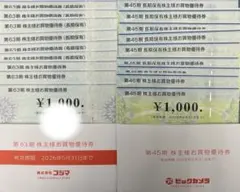 ビックカメラ コジマ 株主優待券 18000円分 2026/5/31まで