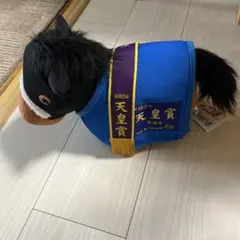 アーモンドアイ ぬいぐるみ 天皇賞秋 アバンティー Sサイズ - メルカリ