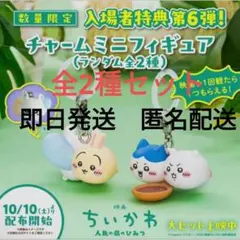 商品画像が確認できません