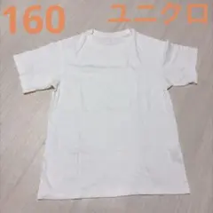 白　Tシャツ