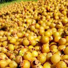 サト様 リクエスト 2点 まとめ商品