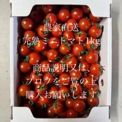 熊本県産あまーい千果ミニトマト 600g - メルカリ