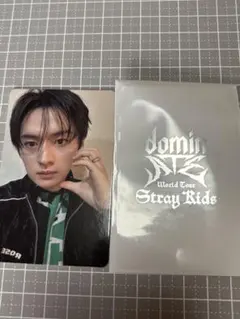 Stray Kids エコパ 1万円特典トレカ リノ