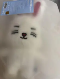 SEVENTEEN MINITEEN ミニティーン チャンダリ ぬいぐるみ - メルカリ