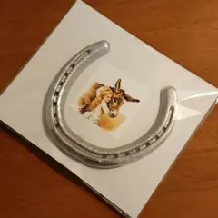 【本物の蹄鉄】馬蹄