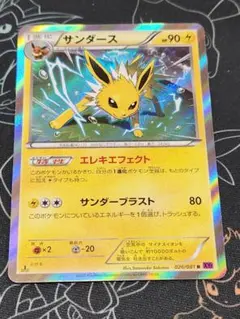 ホ*ト様 サンダース(026/081 R)　バンデットリング(XY7)