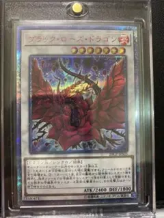 2025年最新】ブラックローズドラゴン 20thの人気アイテム - メルカリ
