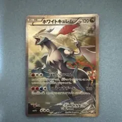 2026年最新】ポケモンカード ホワイトキュレム CP2の人気アイテム