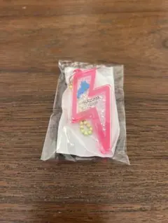 琵琶湖アクリルキーホルダー　フェストイナズマ　ロックフェス　限定レア　草津道の駅