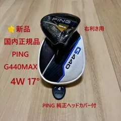 ⭐️新品 国内正規品 ピン G440MAX 7W 21° ヘッド単品 純正HC付 - メルカリ