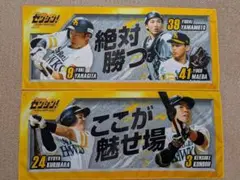 福岡ソフトバンクホークス 応援タオル 2枚セット ゼンシン！