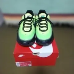 ナイキ　エアマックス　AIRMAX　DN　ADM　ベトナム製　ヴィンテージ