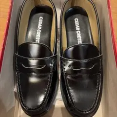 Item thumbnail for item 6c549275-214a-4677-8952-b38c902927cb