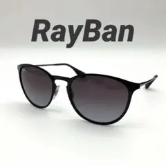 Ray Ban レイバン サングラス ERIKA METAL エリカ ケース付