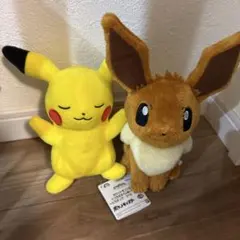 ポケモン　ピカチュウとイーブイセット