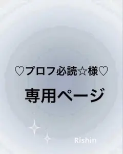♡プロフ必読☆様専用ページ