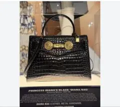 （博物館級）VERSACE メデューサバッグ （ダイアナバッグ）のサムネイル