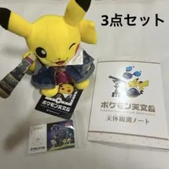 ポケモン天文台　ほしぞらピカチュウ　ノート 等　コースター　ポストカード　計9点 ポケモン天文台 ほしぞらピカチュウ ぬいぐるみ コースター ノート
