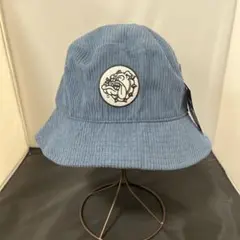 Item thumbnail for item 0d2f3033-3af8-436e-a317-f03846309df6