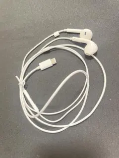 【新品未使用】Type-C有線イヤホン【即日発送】