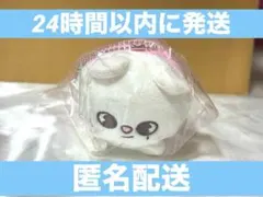 straykids skzoo スキズ バッグチャーム ヒョンジン ジニレットのサムネイル