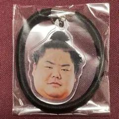 Item thumbnail for item 18fcbafa-3e2b-4f9c-b7e0-8d958bbad5b8