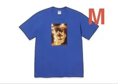 Supreme Spitfire Flag Tee M オリーブ - メルカリ