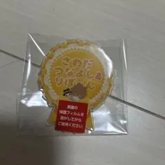 沢田綱吉＆リボーン　ネームバッジ　ひこくじ 家庭教師ヒットマンREBORN!