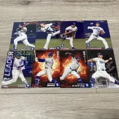 中日ドラゴンズ プロ野球チップスカード