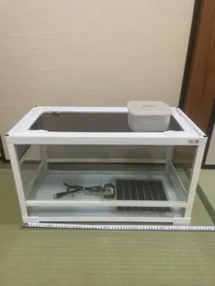 Item thumbnail for item b0c30ab0-20be-4fc3-9b07-c3bb8b5e0c65