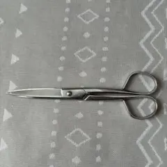 Item thumbnail for item 9b607dae-a9da-4098-a128-cd263e3d4eec